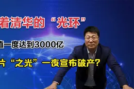 披着清华的外衣，市值一度达3000亿，紫光集团为何走向破产清算？视频封面