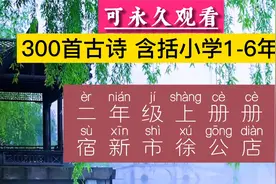 号称白话诗人，南宋“中兴四大诗人”之一写的古诗，你学过了吗？视频封面