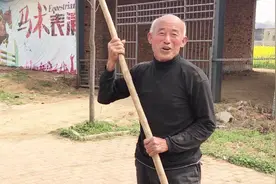 农村大伯养30箱蜜蜂，一年能挣多少钱？大伯说出数字你信吗？