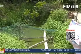 牛蛙养殖场污水直排河道 村民备受困扰 揭阳普宁多部门联合取缔视频封面