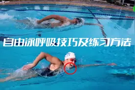 自由泳呼吸技巧及四步练习方法视频封面