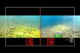 降温鱼就跑深水区了？深浅分别打窝看一下！