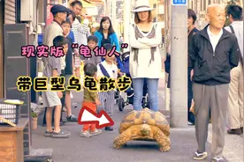 老人24年前买下的小乌龟，如今长成巨无霸，陪着老人在街头散步！视频封面