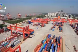 武汉新港：实施“12345”战略 力促港航新业态持续发展视频封面