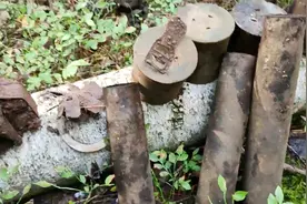 探索二战战场挖出一堆炮弹壳，都是铜做的应该能值钱吧？视频封面