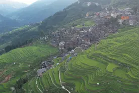 航拍贵州加榜梯田，万亩稻田层层叠叠，苗族民居吊脚楼点缀其间视频封面