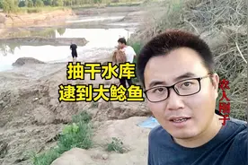 70亩的水库抽干水，逮到大鲤鱼和大鲶鱼，太过瘾了