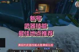 魔兽世界TBC武器技能最佳练习地点推荐，直接挂机挂到满视频封面