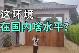 王老太在非洲遇到河南老乡，看看他工作的环境，真的羡慕了！视频封面