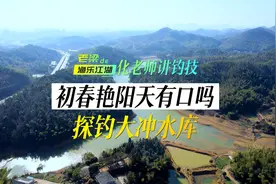 化老师讲钓技巧：初春艳阳天好钓鱼，还是阴雨天出口更好视频封面