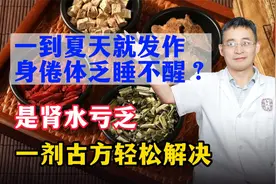 一到夏天就发作，身倦体乏睡不醒？一个简单的小方子，轻松搞定！