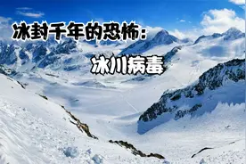 冰川里的远古病毒 隐藏在冰川深处的危险视频封面