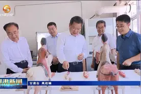 任振鹤在甘肃省文物考古研究所调研视频封面