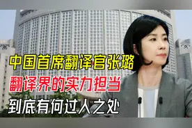 中国首席翻译官张璐，翻译界的实力担当，到底有何过人之处？