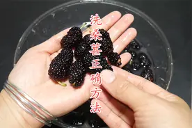 洗桑葚时，很多人第一步就错了，学会这个方法，虫子农残一起除视频封面
