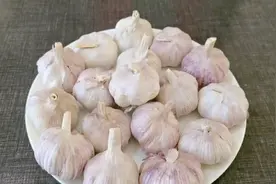 大蒜放锅里蒸一蒸，没想到这么厉害，90岁奶奶的长寿秘诀，收藏了视频封面