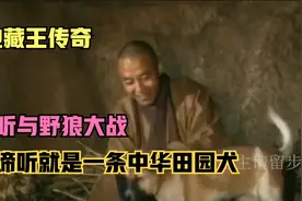地藏王占了狼窝 谛听与狼大战十几回合 被灭杀视频封面