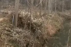 天降陨石落驻马店？当地村民惊呼：寻宝的人太多了，这边天天堵车视频封面