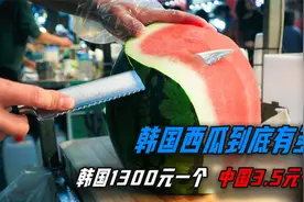 韩国西瓜1300元一个，中国西瓜3.5元一斤，为何韩国西瓜那么贵？视频封面