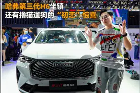 哈弗第三代H6坐镇，还有撸猫遛狗的“初恋”惊喜？视频封面