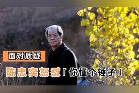 写完《白鹿原》后再无创作，面对质疑，陈忠实怒怼：你懂个锤子视频封面