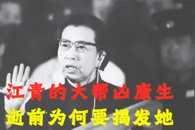 投机主义！江青的媒人及大帮凶康生，在去世前为何要揭发她！视频封面
