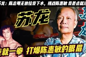 苏龙：周星驰师傅，想夺取向华强家族天下，当九龙皇帝视频封面