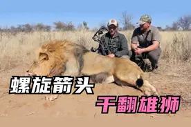 螺旋箭头再加俩倒刺，被复合弓射出后竟能一下击倒一头非洲雄狮视频封面