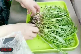 在家也能做大厨 蒲公英炒鸡蛋清爽可口回味无穷 不怕上火视频封面