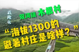 来木根村避暑吧！