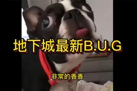 地下城最新B.U.G卡经验胶囊视频封面