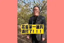梨树花后第一遍药该打了视频封面