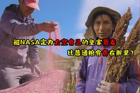 被NASA定为太空食品，价格是大米的两倍,皇家藜麦为啥这么贵视频封面