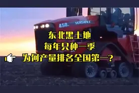 东北黑土地有多肥沃？每年只种一季，却能产量排名全国第一！视频封面