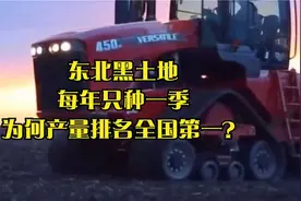 东北黑土地有多肥沃？每年只种一季，却能产量排名全国第一！视频封面