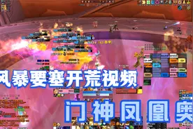 魔兽世界TBC怀旧服，风暴要塞开荒攻略，门神凤凰奥的防骑视角
