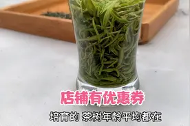 同时拥有兰花香和栗香的信阳毛尖您喝过吗？就是家里这款明前茶视频封面