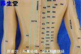 肝俞穴主治：多怒，黄疸，鼻酸，热病后目暗泪出，目眩，气短咳血视频封面