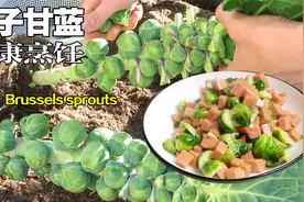最好的蔬菜——抱子甘蓝， 简单好吃做法 健康减肥，建议收藏视频封面