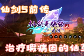 仙剑5前传：第28集(魂魄离体救治之法)视频封面