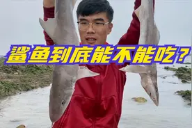 退潮时海浪里惊现两条大鱼！表弟踏着浪去抓鱼！结果令人很失望！视频封面