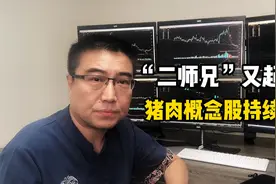 “二师兄”又起飞！猪肉概念股持续反弹视频封面