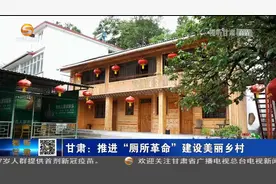 甘肃：推进“厕所革命”建设美丽乡村视频封面