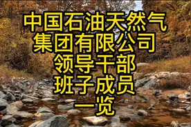 中国石油天然气集团有限公司（中石油）领导干部班子成员一览视频封面