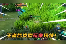 各类型玩家玩王者现状，你属于哪个类型？