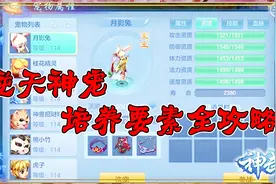 神武4：宠物培养不用愁 逆天神宠育成4步决