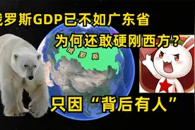 俄罗斯GDP已不如广东省，还敢硬刚西方国家，只因“背后有人”视频封面