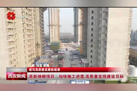 高新细柳项目：加快施工进度 高质量实现建设目标视频封面