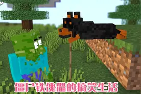 僵尸铁傀儡和小僵尸的搞笑生活，鹦鹉和大黑也来了，欢乐多多！视频封面