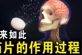 你知道药物在身体中，是如何发挥作用和代谢的吗？动画带你看懂视频封面